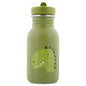 Stainless Steel Bottle 350 ml - Mr Dino