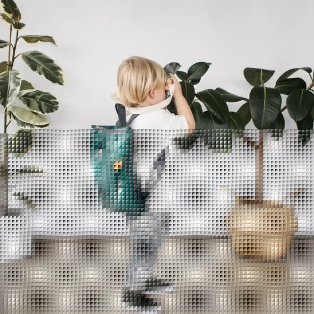 Kids backpack - Dinosaur